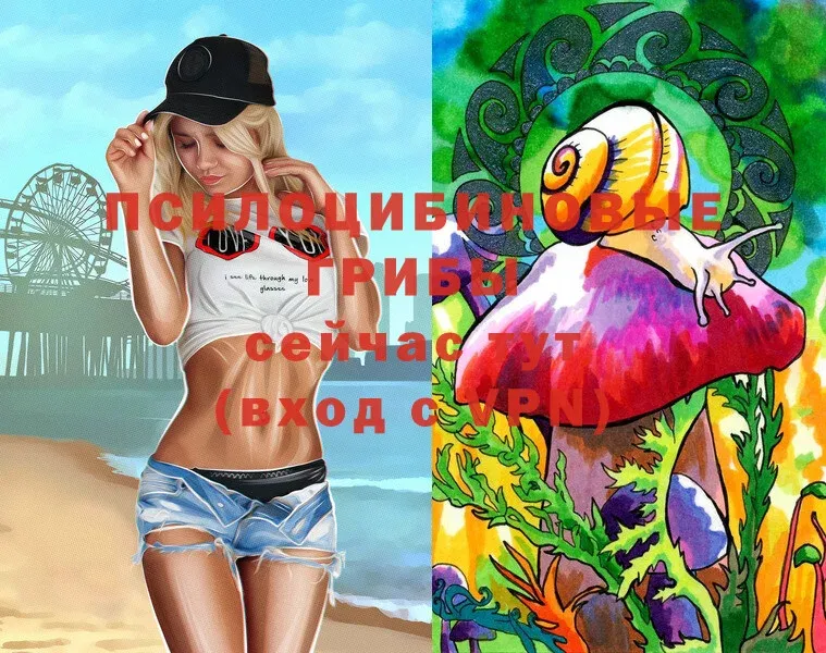 Галлюциногенные грибы Magic Shrooms Тосно