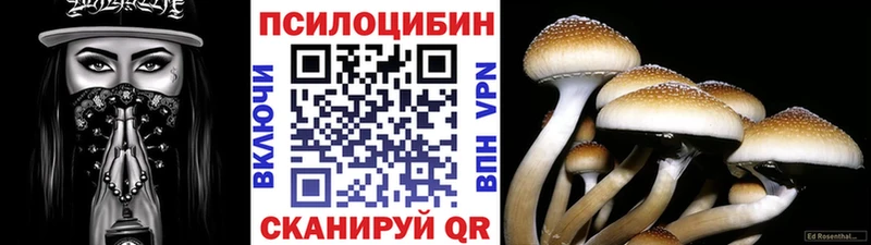 дарк нет какой сайт  Тосно  Галлюциногенные грибы прущие грибы  MEGA ТОР 