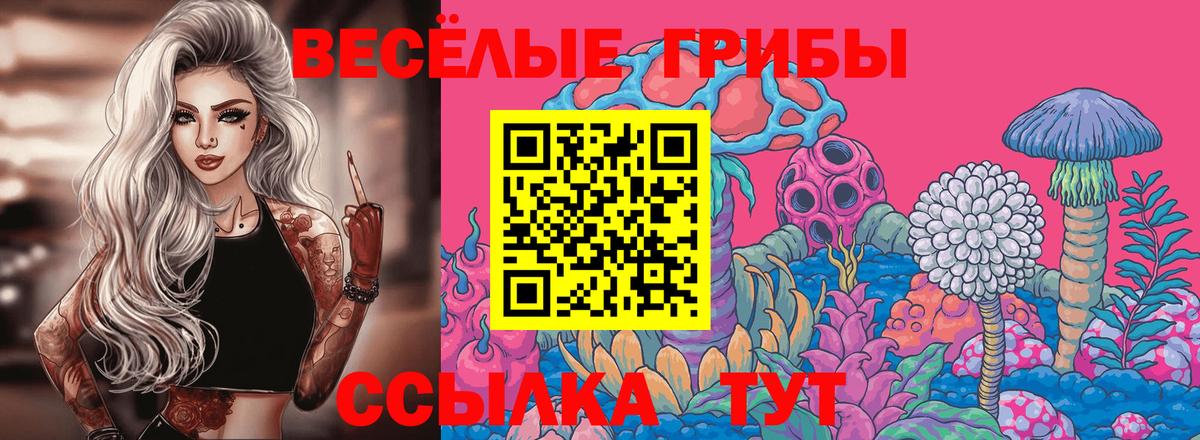Псилоцибиновые грибы мицелий Тосно