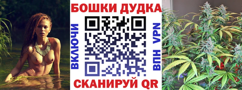 где продают наркотики  Тосно  маркетплейс наркотические препараты  Бошки марихуана THC 21% 